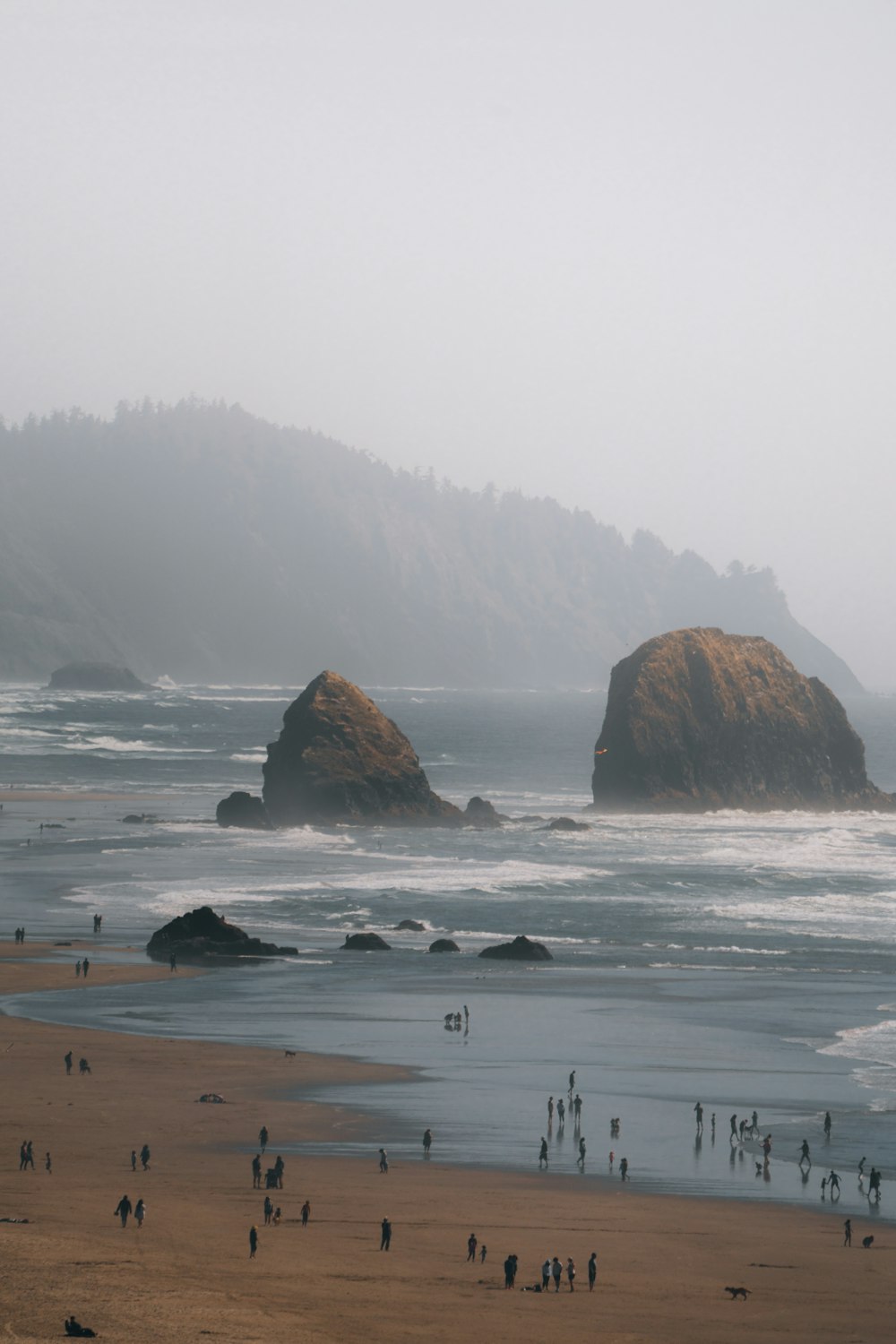 people walking on beach during daytime