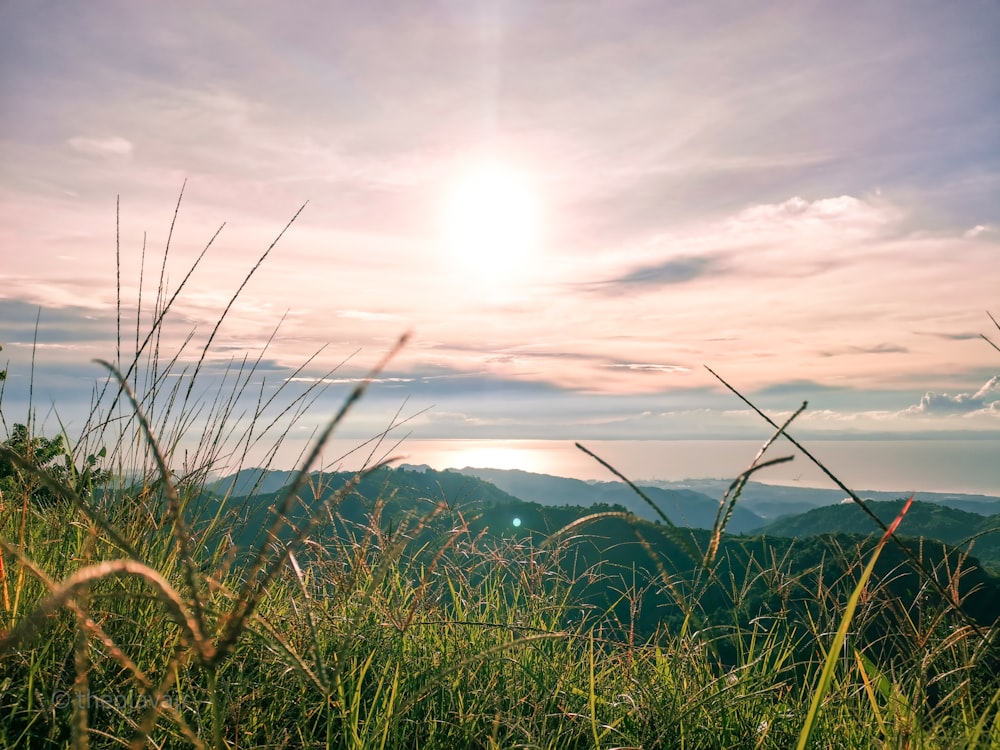 green grass field near mountains during daytime