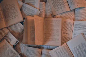 libros abiertos