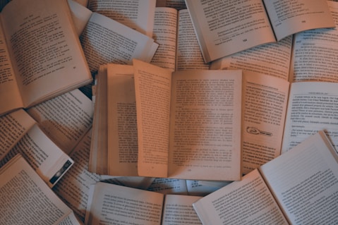 libros abiertos