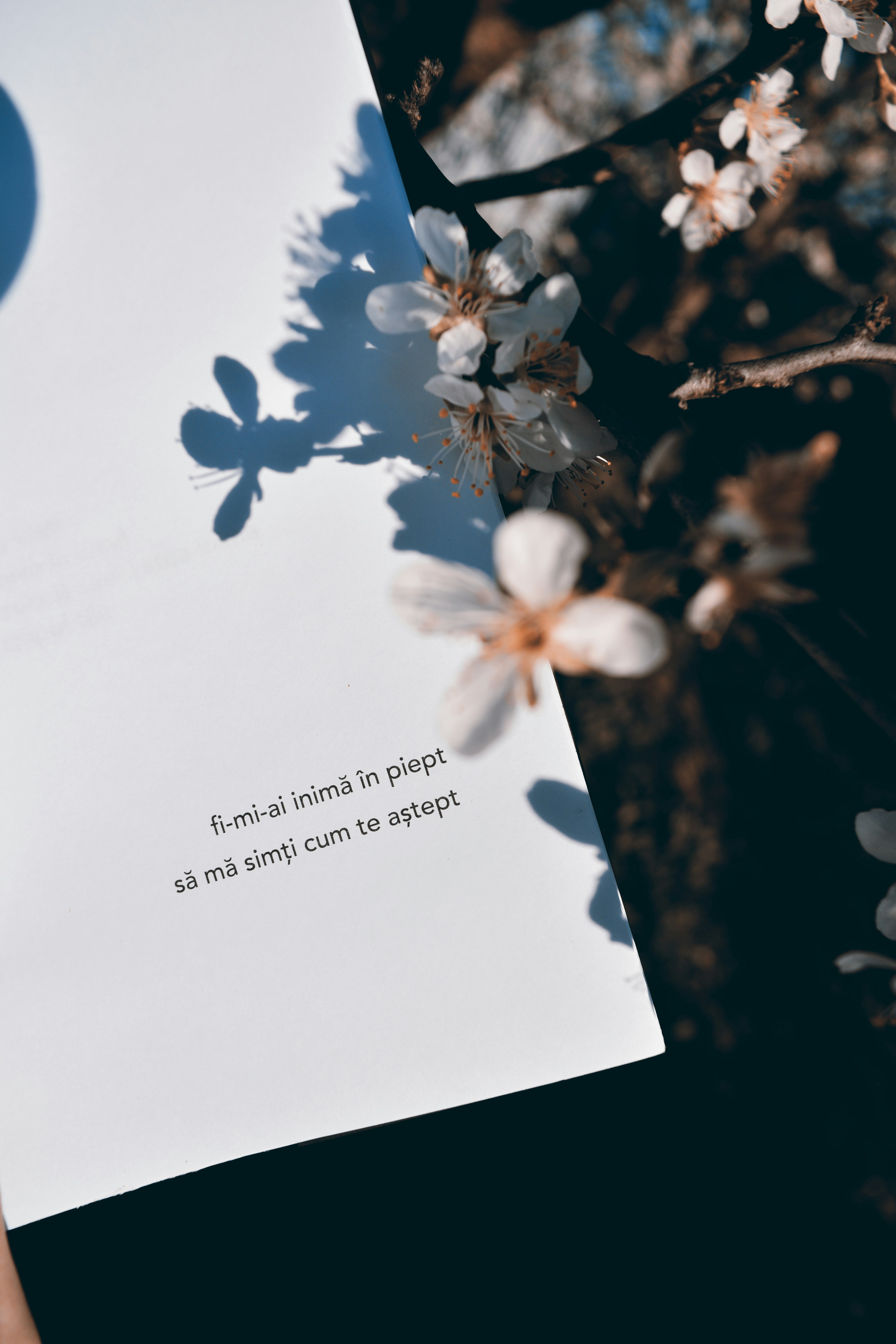 white and blue floral greeting card