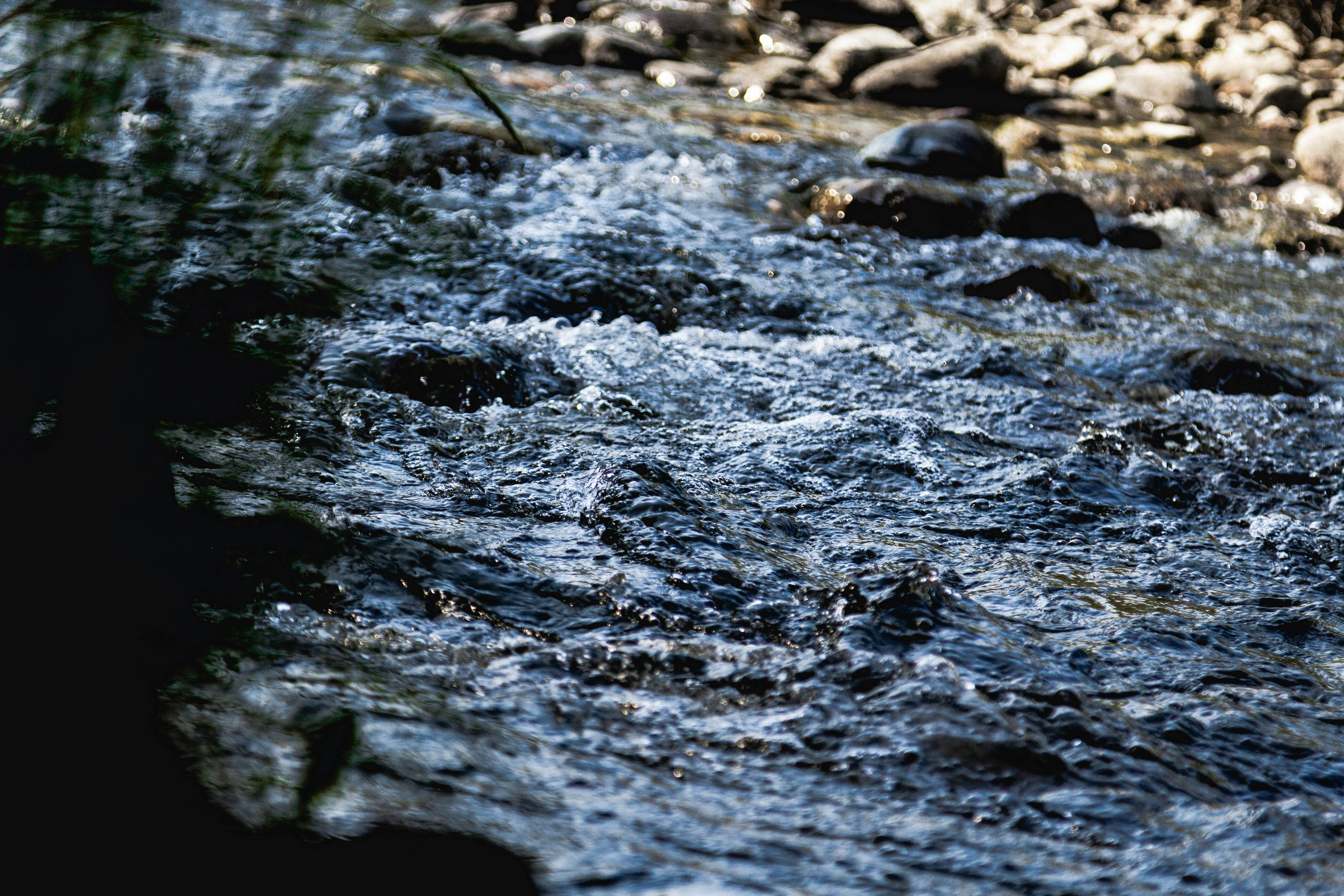 Photo by mason_hassoun