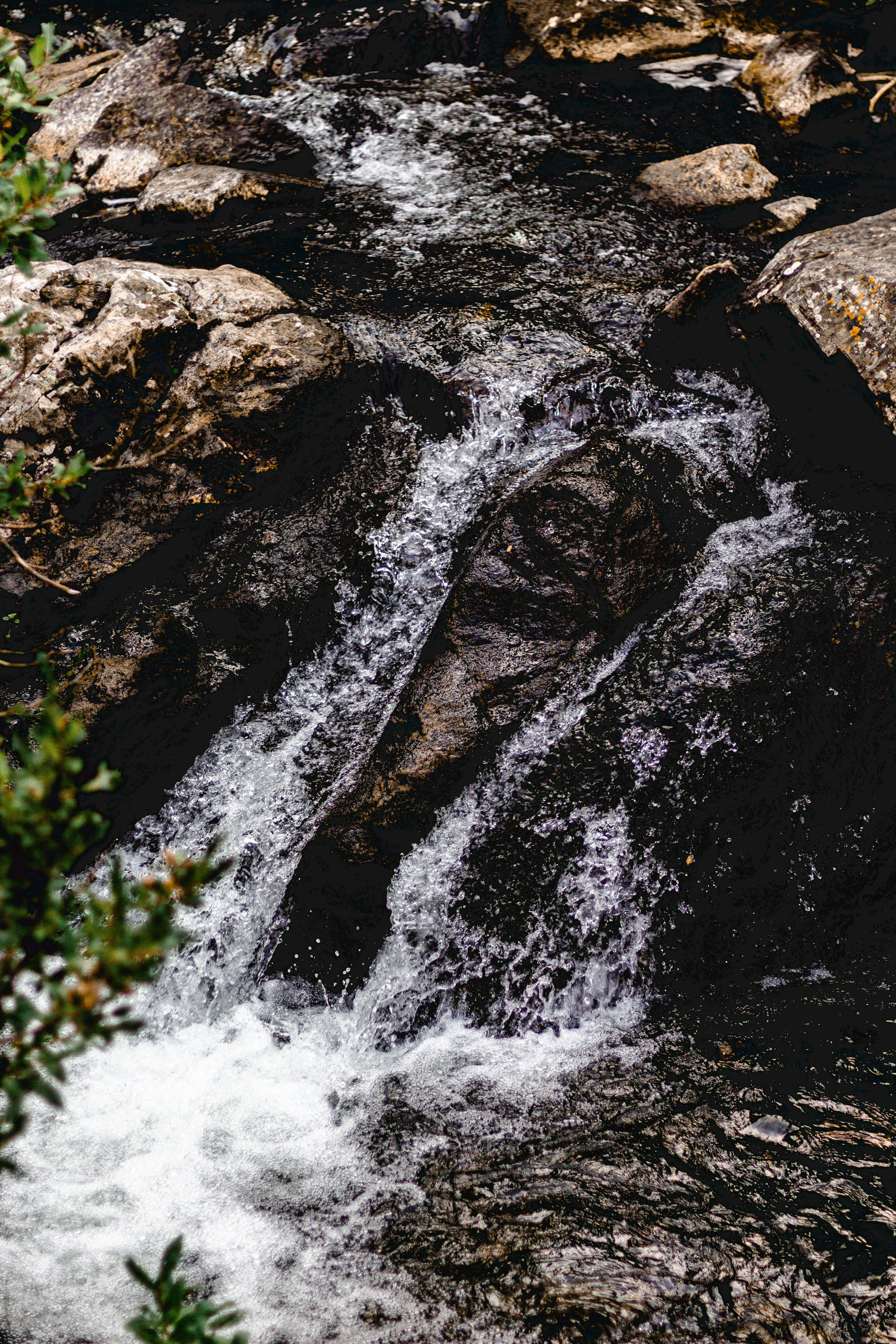 Photo by mason_hassoun