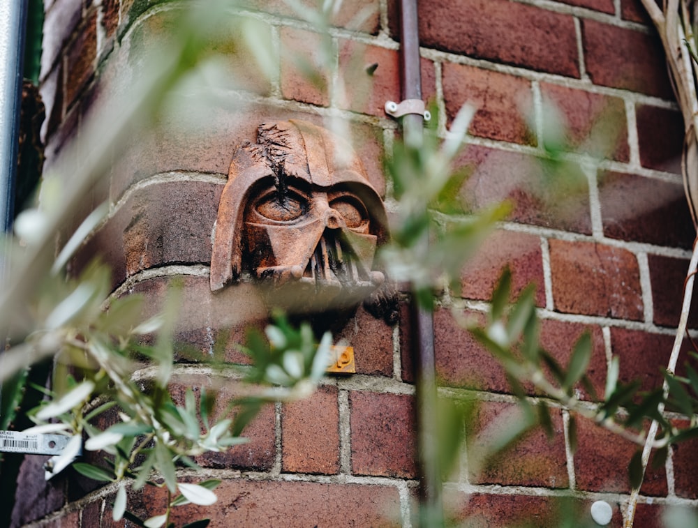 green plant on brown brick wall