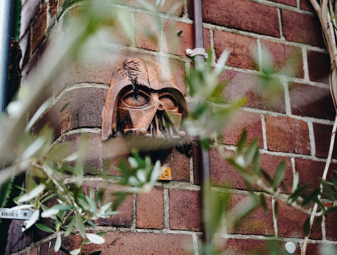 green plant on brown brick wall