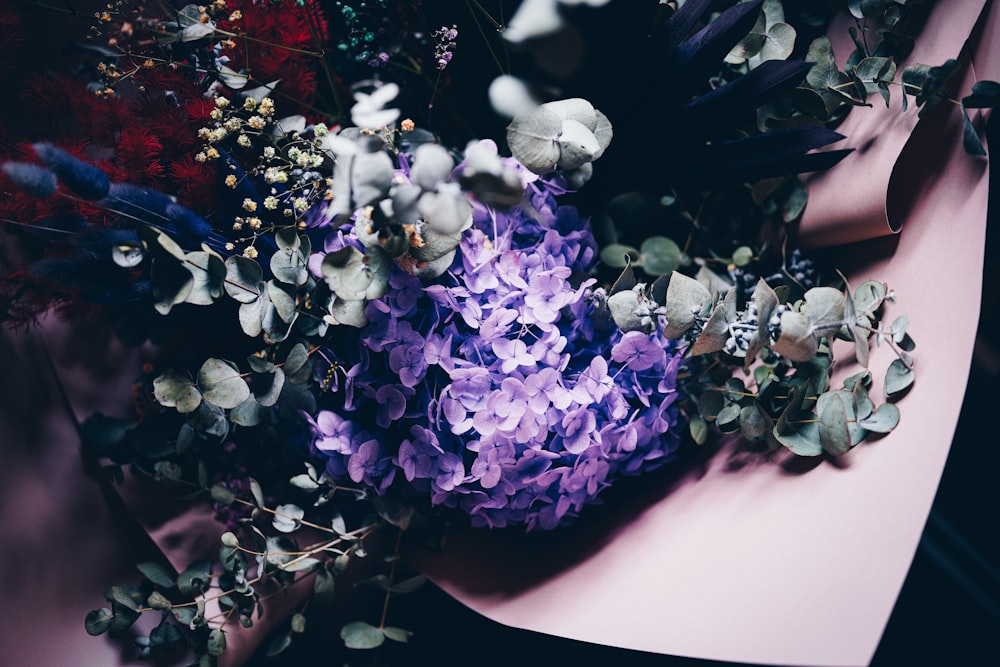 purple and white flowers with green leaves