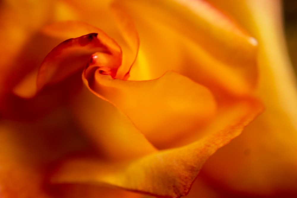 orange textile in close up photography