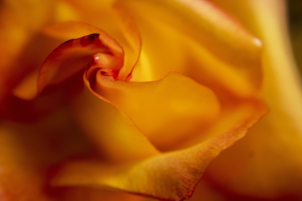 textil naranja en fotografía de primer plano