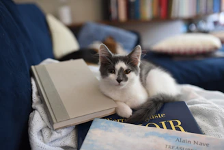 A cozy scene of a cat lounging beside a stack of colorful cat-themed books and a tablet playing cat videos.