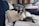 white and black cat on blue and yellow book