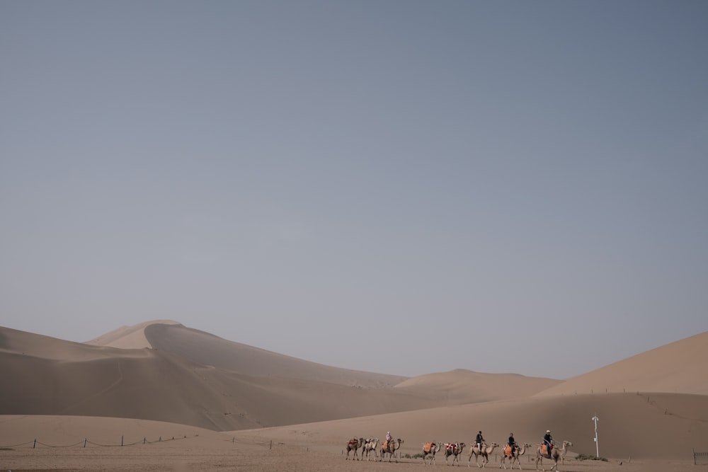 people walking on desert during daytime