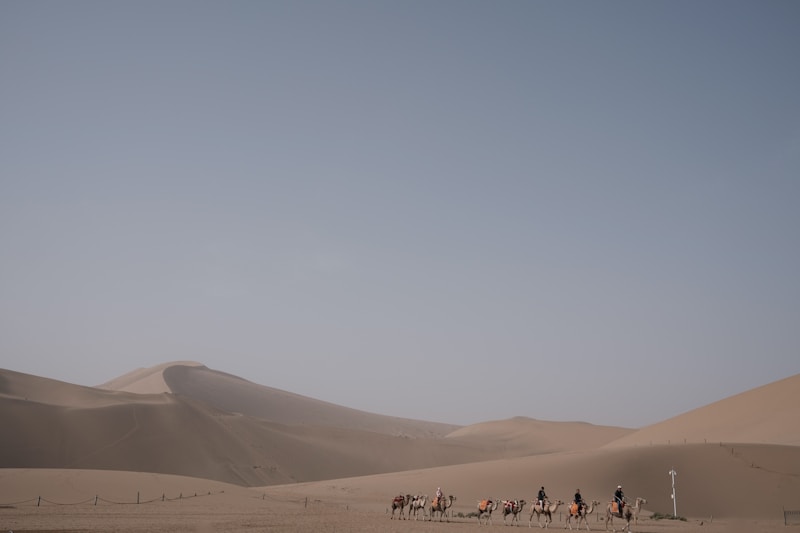 Mingsha Sand Dune Activities