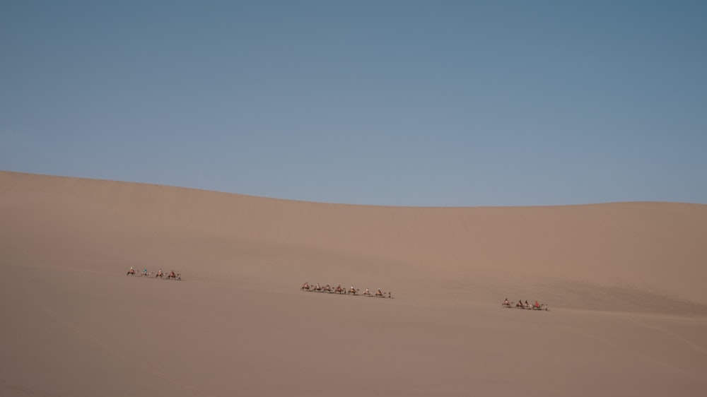 昼間、砂漠を歩く人々