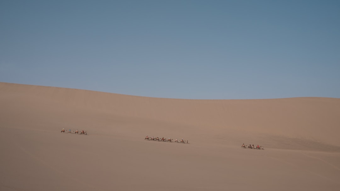 people walking on desert during daytime