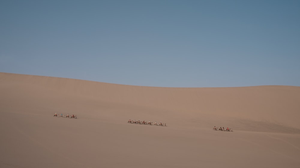 people walking on desert during daytime