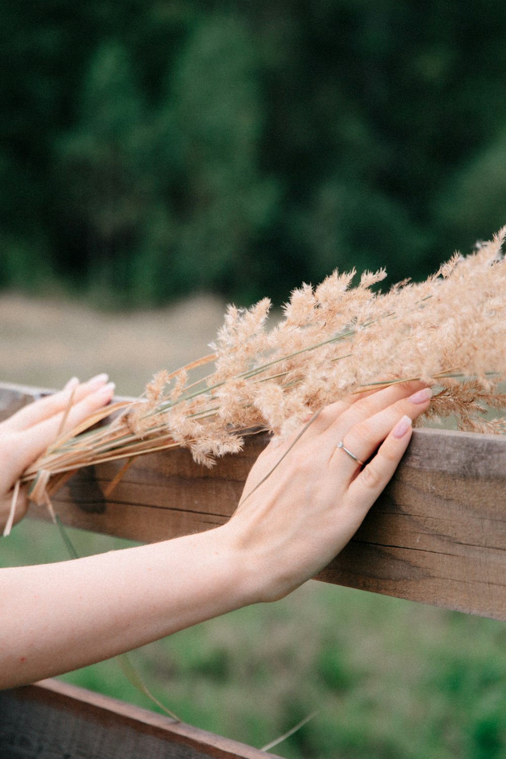 person holding brown wooden fence