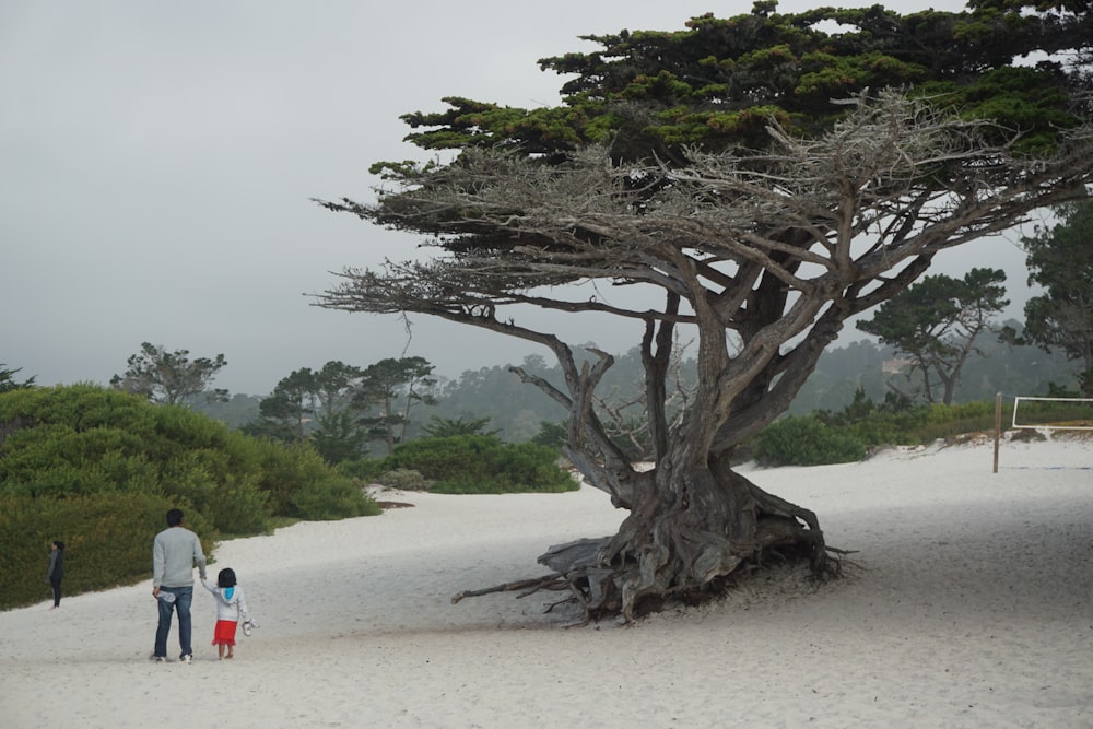 woman in white shirt standing near brown tree during daytime