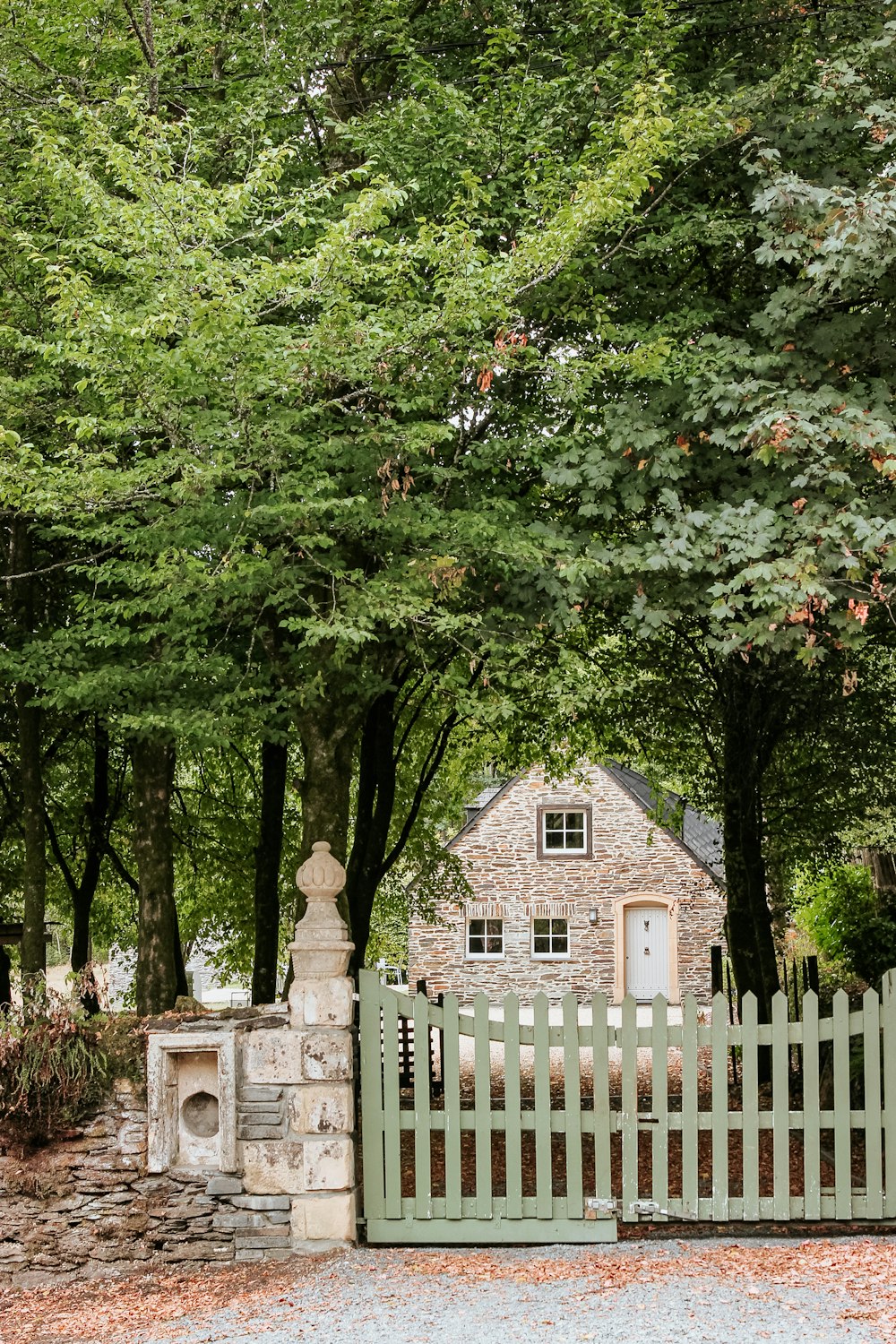 white wooden fence near green trees during daytime