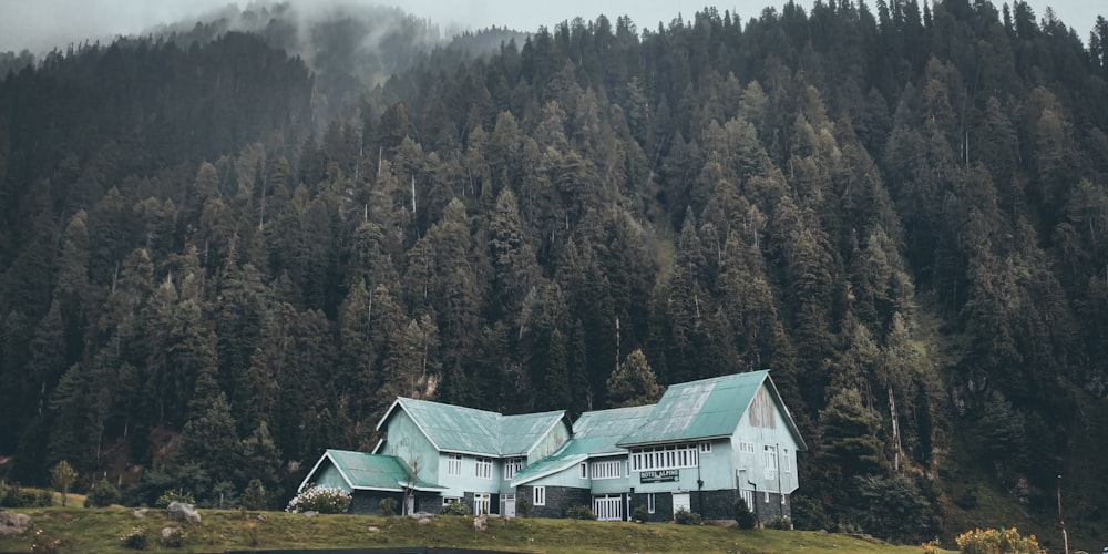 green and white house near green trees during daytime