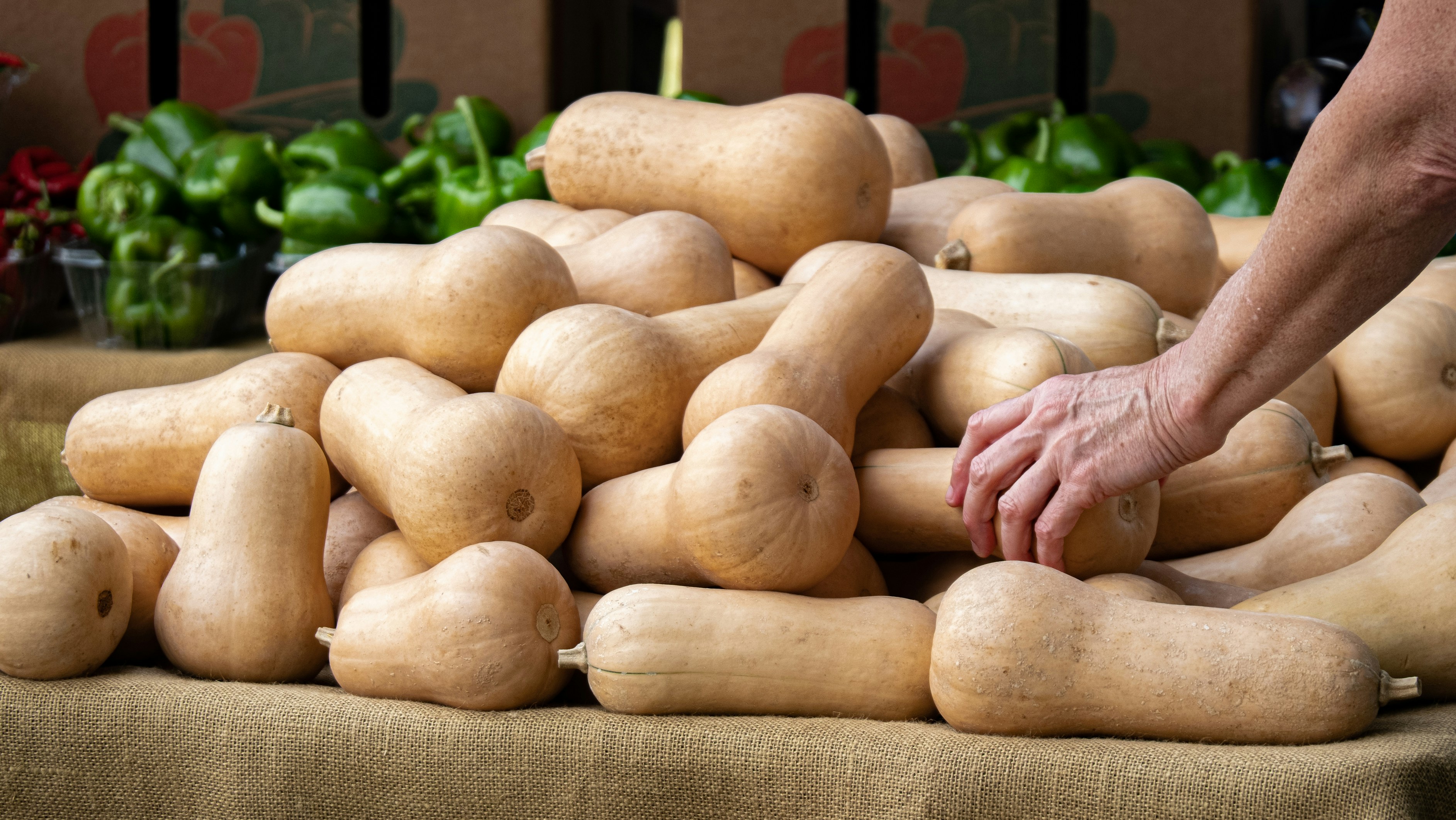 Photo by chesch on Unsplash