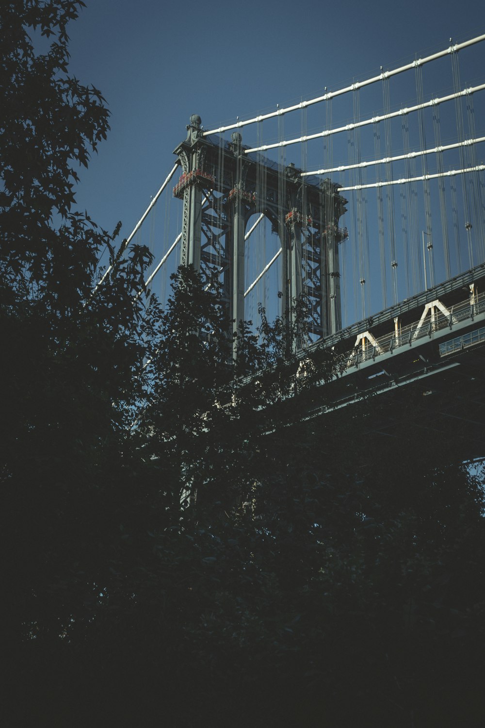 green trees near bridge during night time