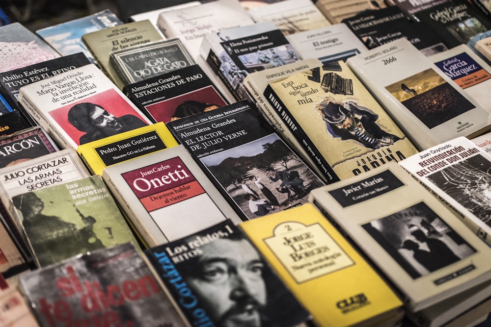 assorted books on brown wooden shelf