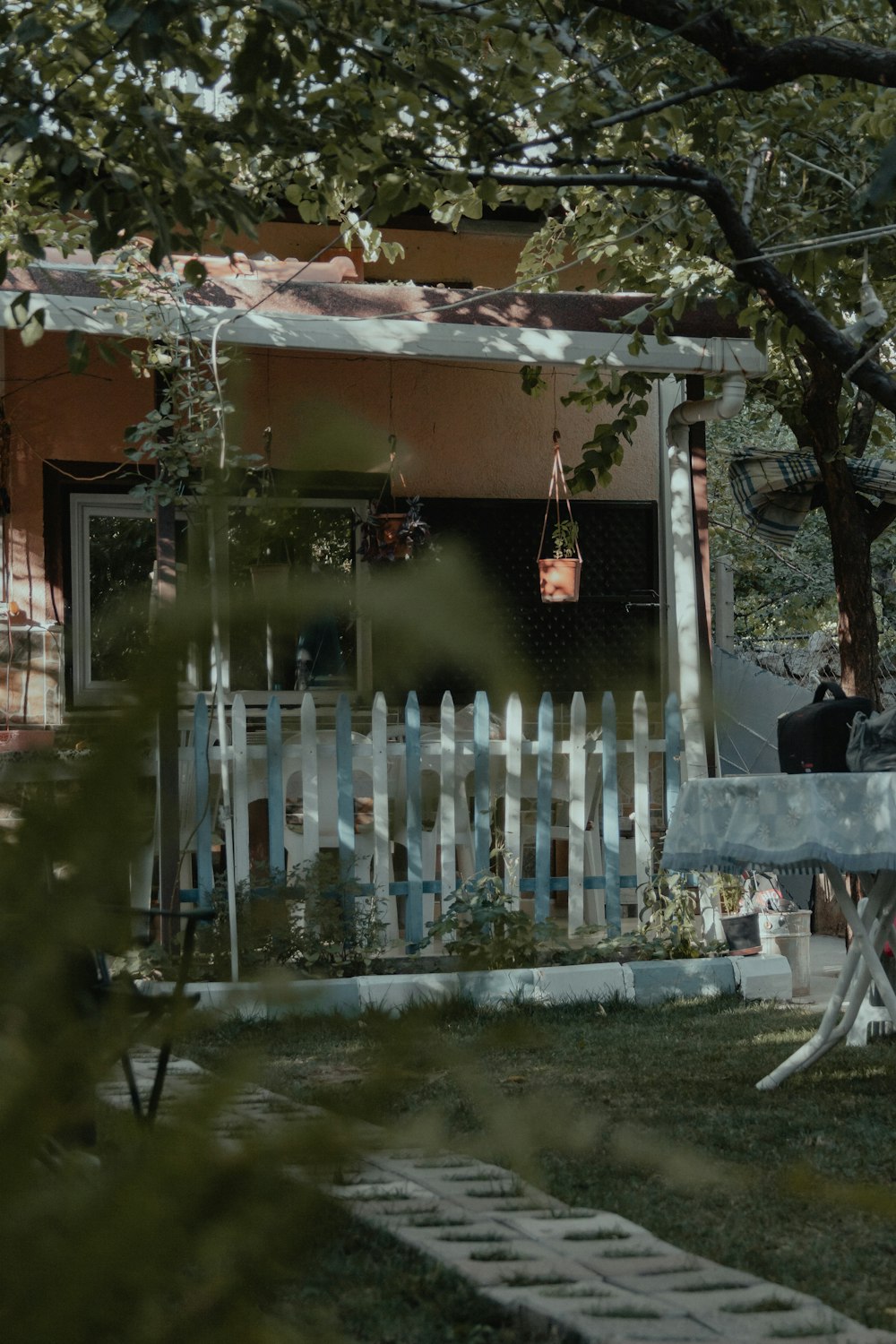 white wooden fence near green trees during daytime