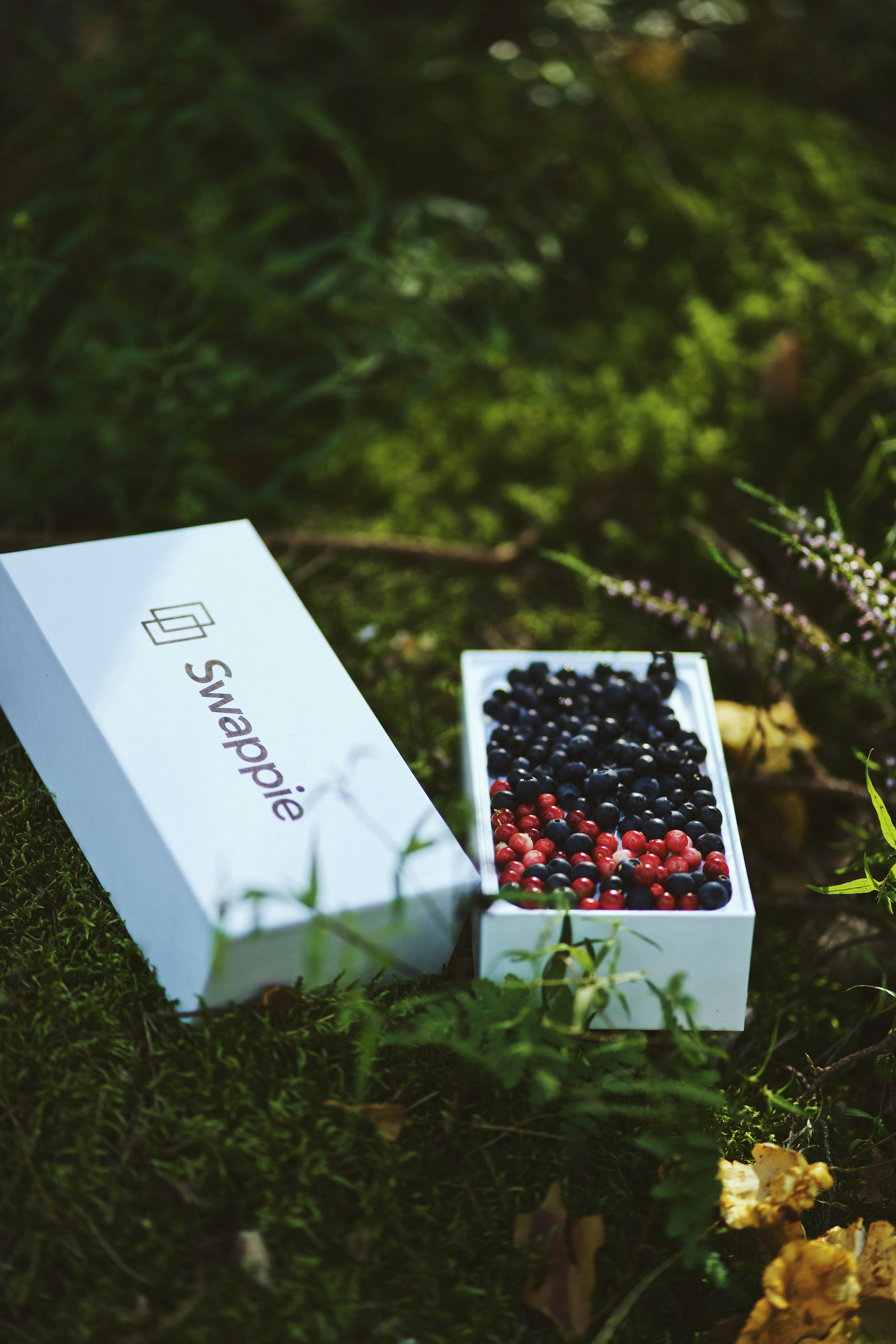 white and red floral box on green grass