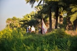 A lush green landscape filled with tall palm trees and abundant vegetation. In the foreground, there are several people dressed in traditional clothing, one of whom is holding a flag with Arabic script. The sun casts warm, dappled light through the foliage.