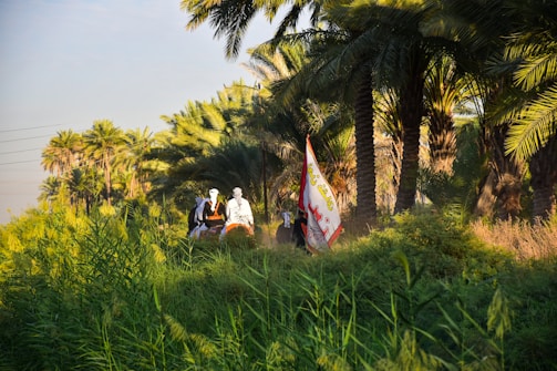 A group of diverse activists planting trees in a dry Arab landscape at sunrise.