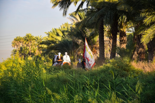 A lush green landscape filled with tall palm trees and abundant vegetation. In the foreground, there are several people dressed in traditional clothing, one of whom is holding a flag with Arabic script. The sun casts warm, dappled light through the foliage.