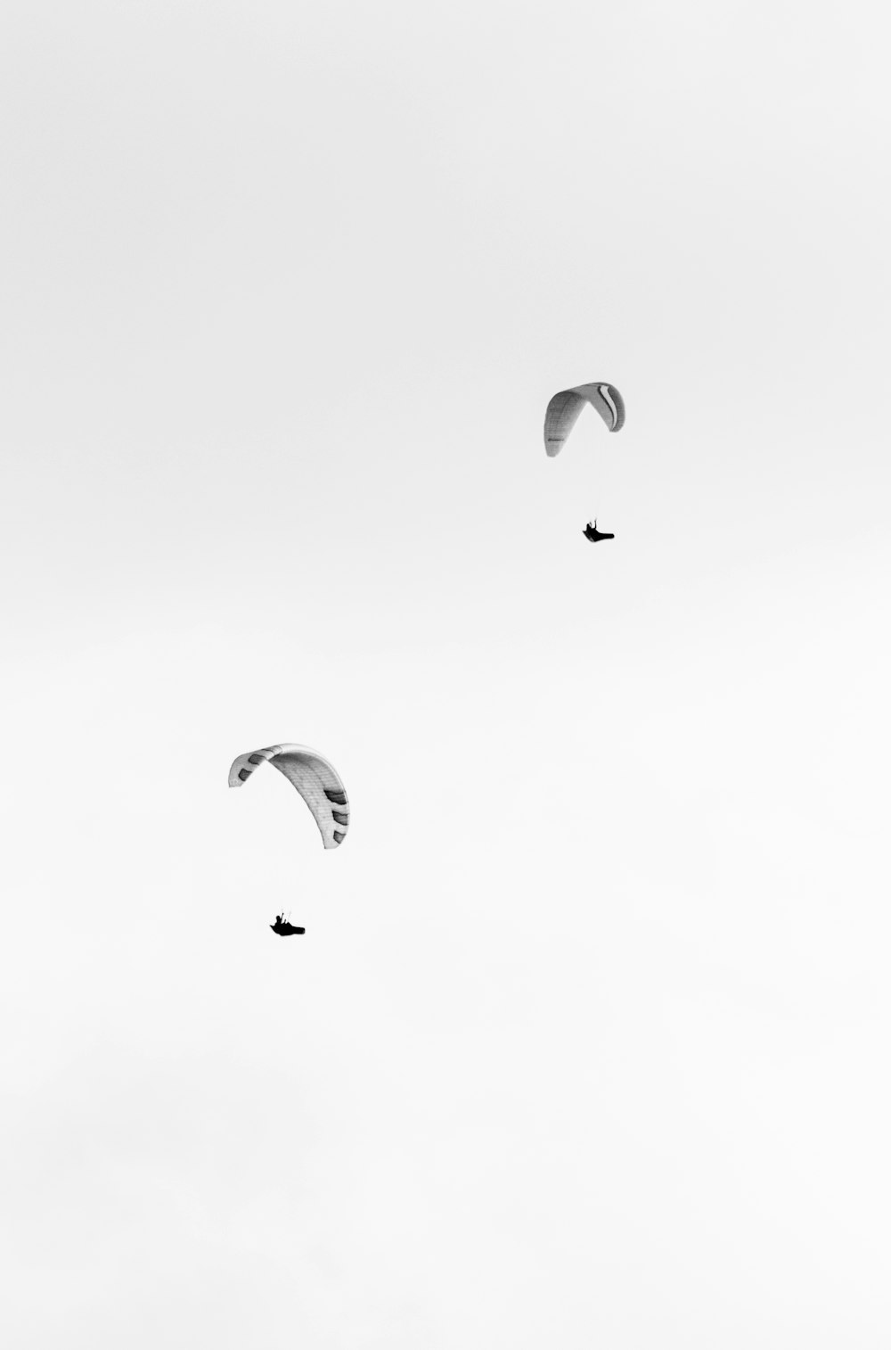 people riding parachute in the sky