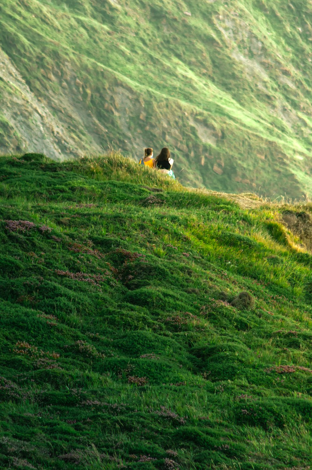 Persona in camicia nera che si siede sul campo dell'erba verde durante il giorno