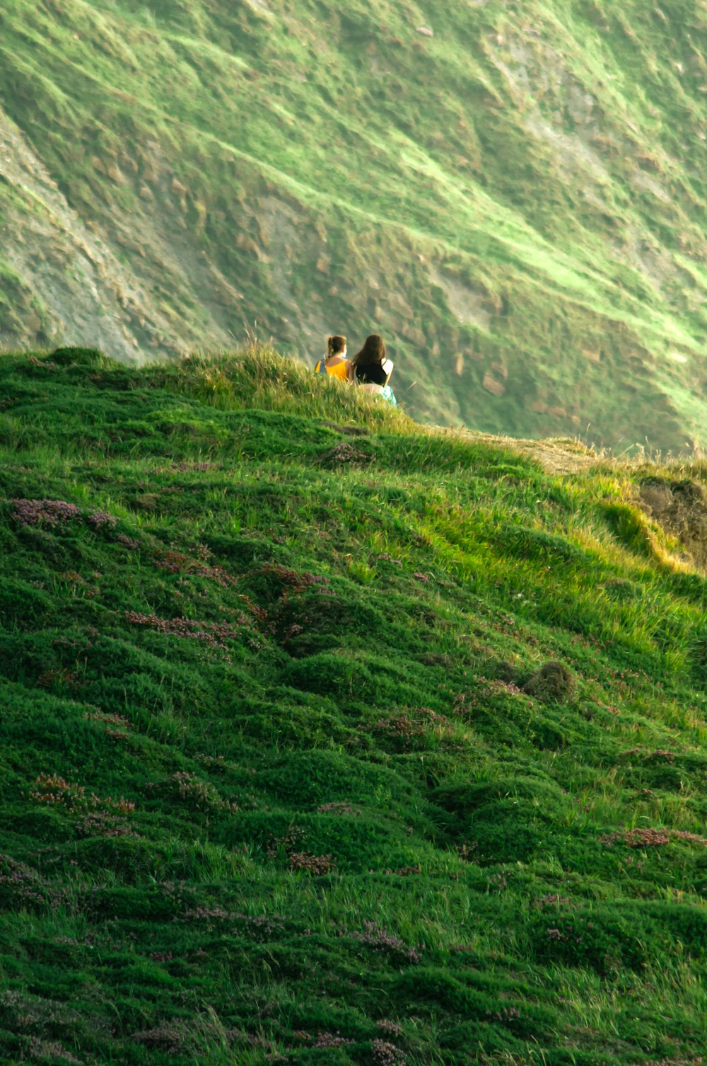 person in black shirt sitting on green grass field during daytime