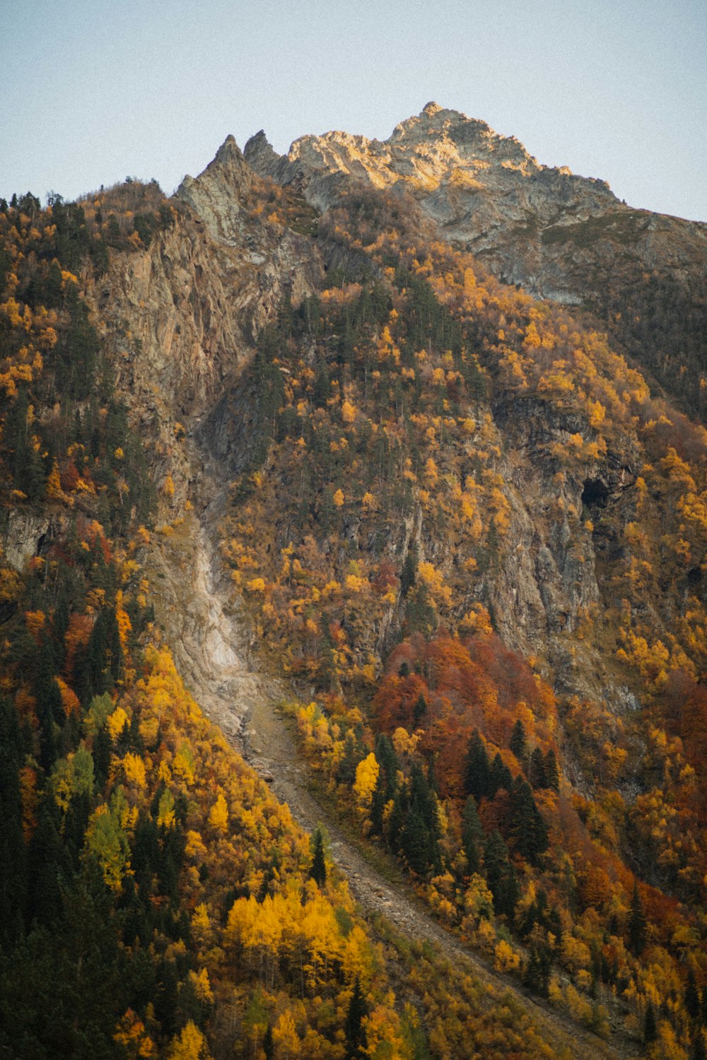 green trees on brown rocky mountain during daytime