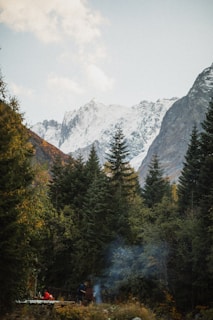 A serene mountain landscape in South Carolina at dawn, with soft light illuminating ancient trees and a small group of people gathered in a circle, sharing stories and art.