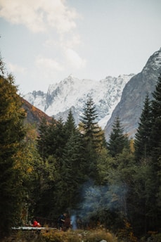 A serene mountain landscape in South Carolina at dawn, with soft light illuminating ancient trees and a small group of people gathered in a circle, sharing stories and art.