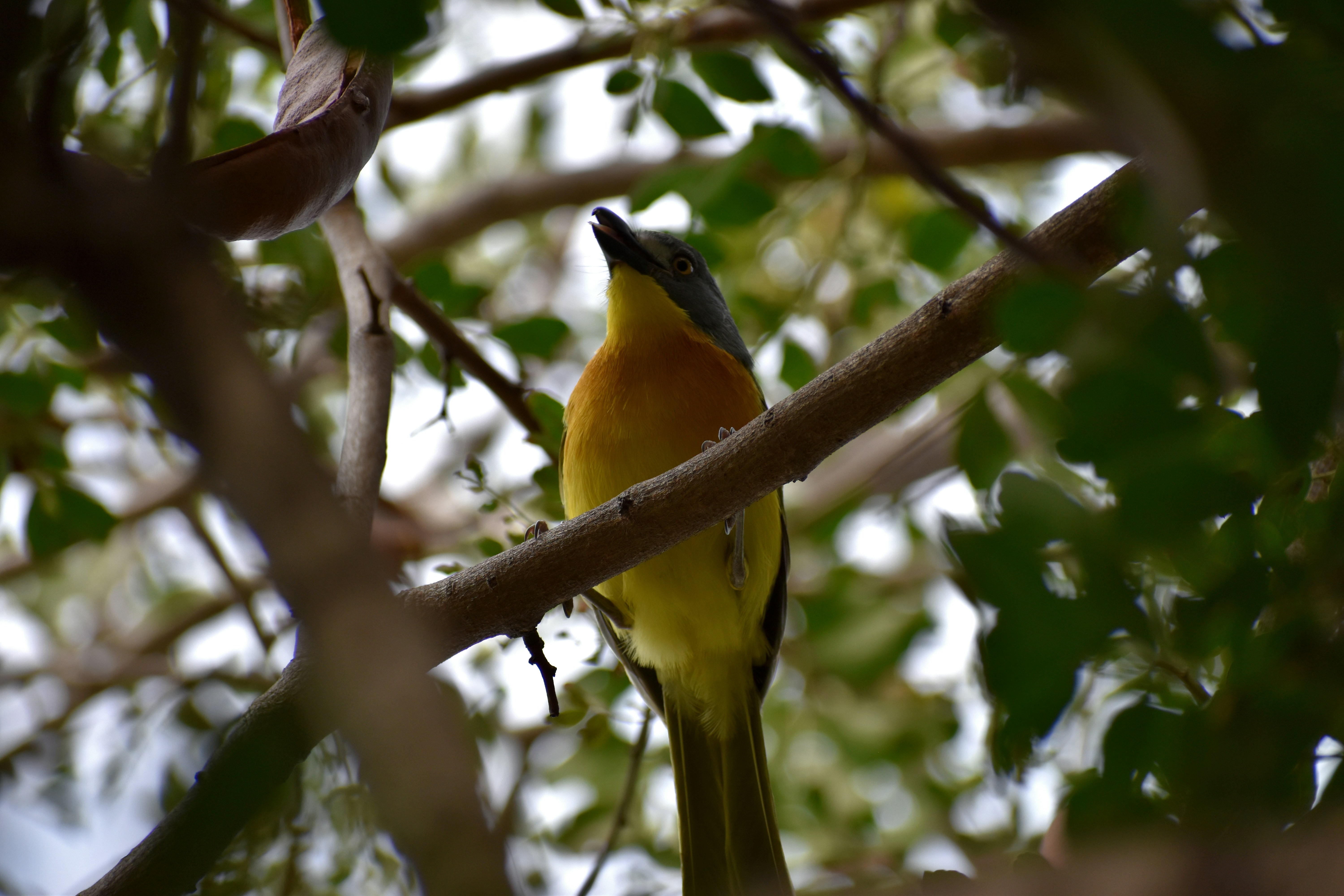 Photo by nicolewreyford