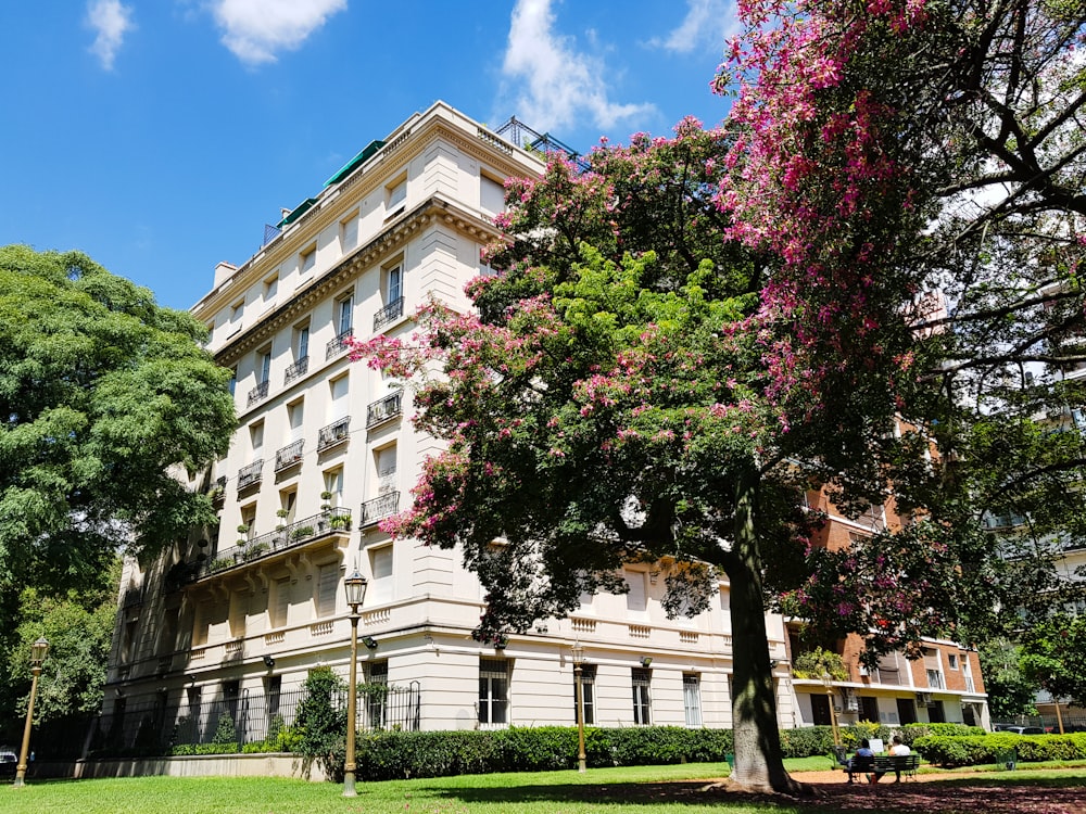 Edificio de hormigón blanco cerca de árboles verdes bajo el cielo azul durante el día