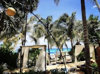 Best Co-Working Spaces in Playa del Carmen for Remote Workers and Freelancers