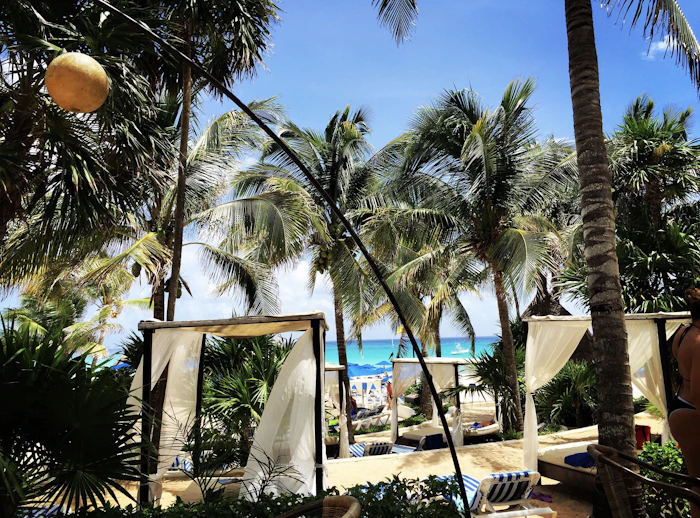 Best Co-Working Spaces in Playa del Carmen for Remote Workers and Freelancers