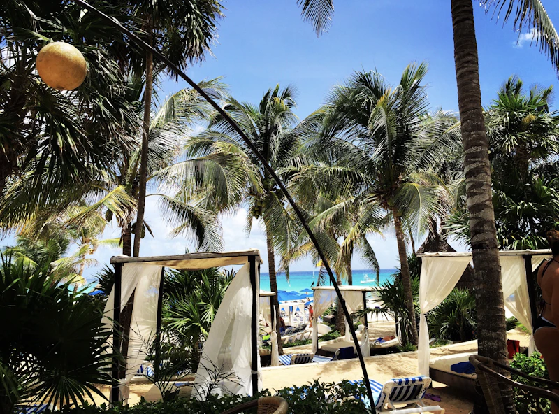 Best Co-Working Spaces in Playa del Carmen for Remote Workers and Freelancers