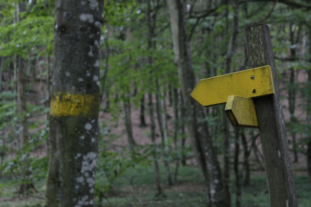 brown wooden birdhouse on tree trunk