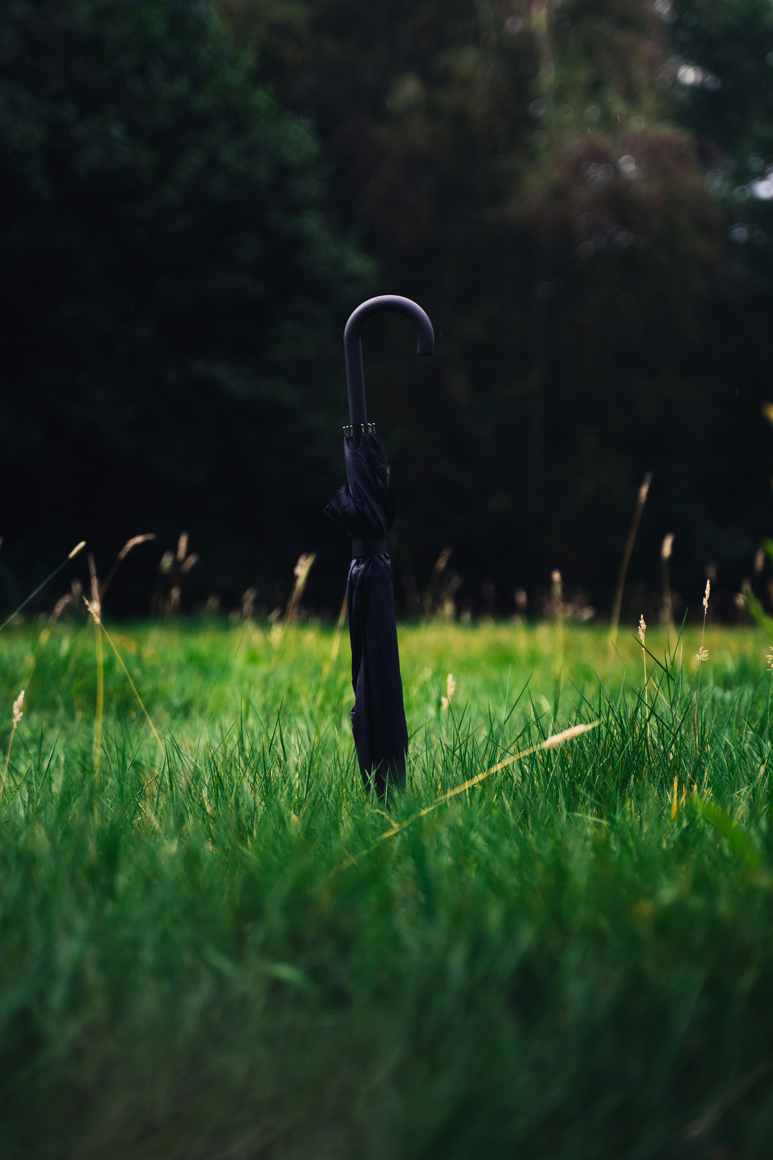 Photo by ollieofthelions