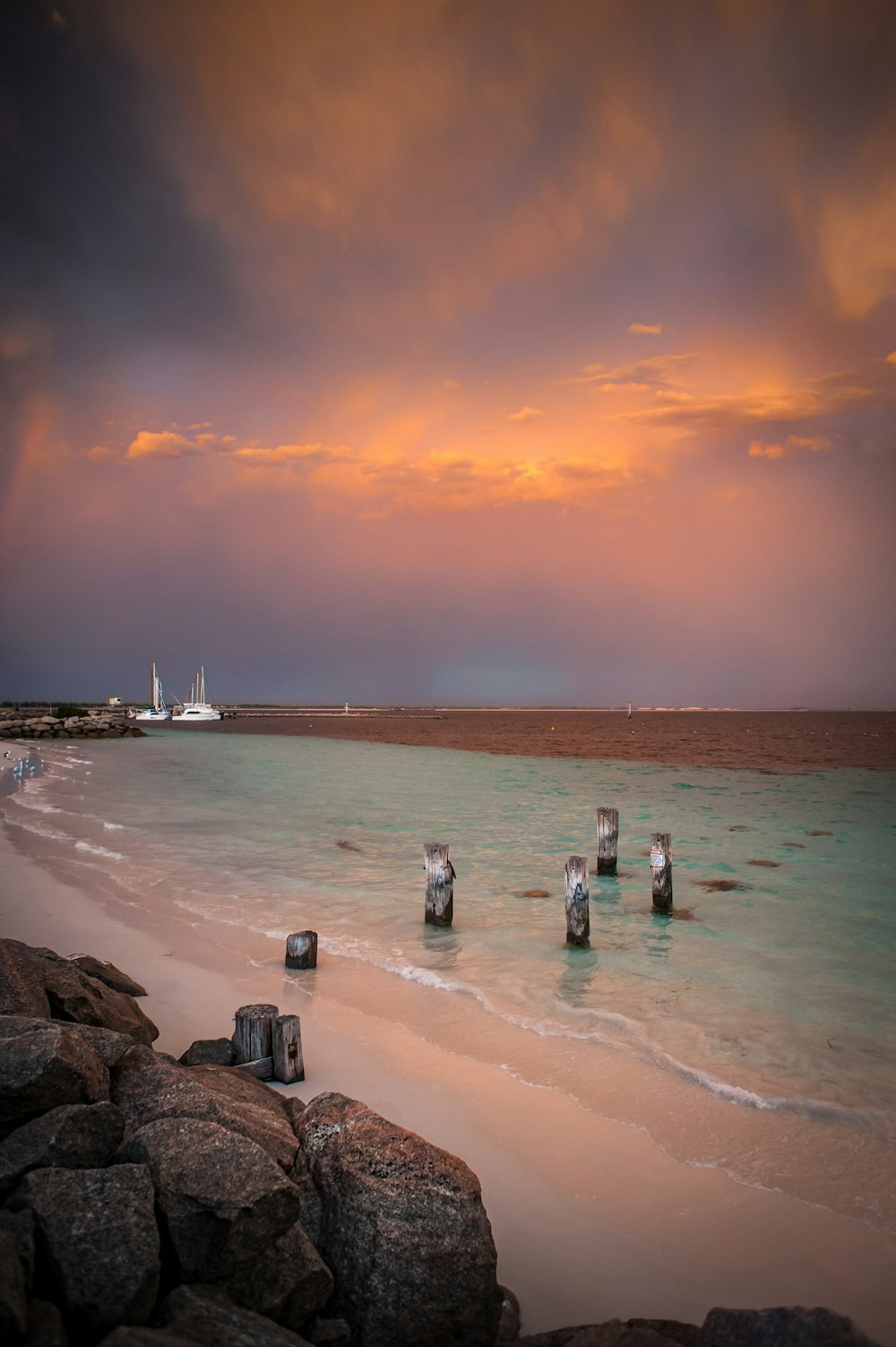 people on beach during sunset