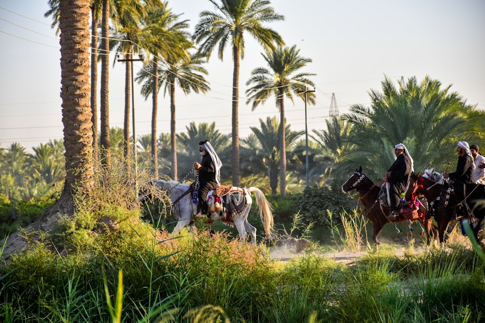 man riding horse on green grass field during daytime