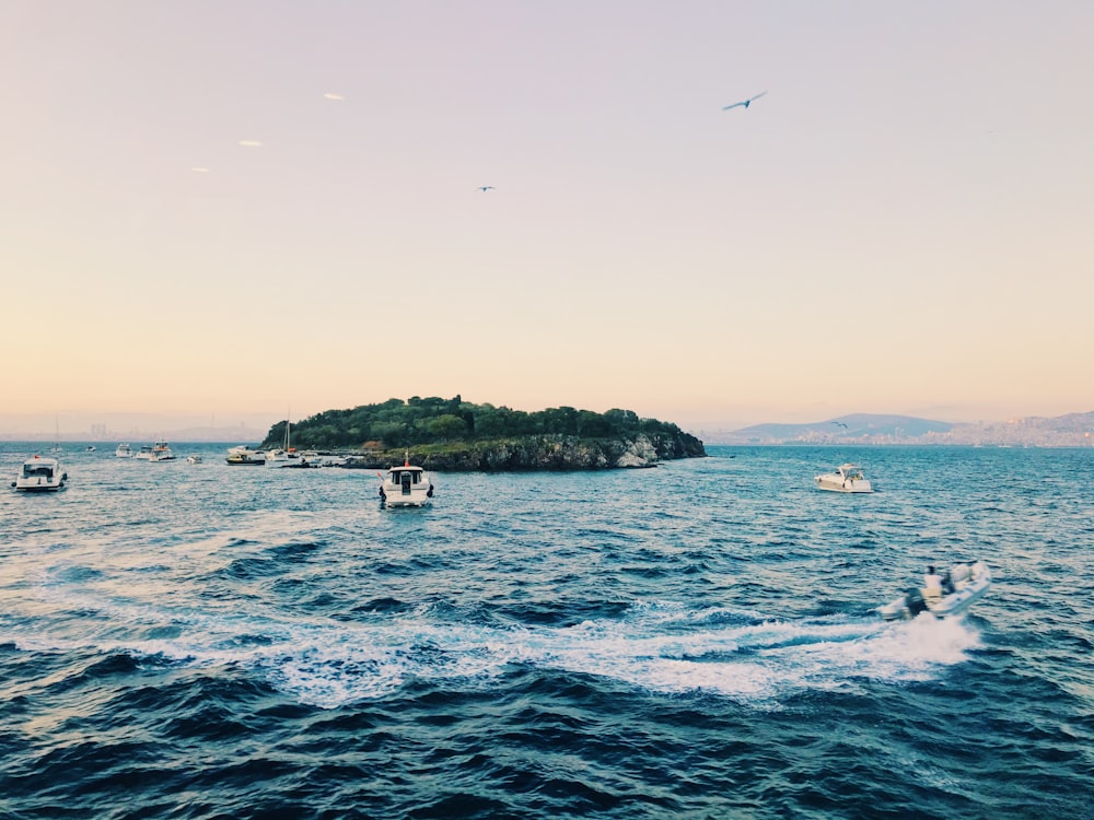 white boat on sea during daytime