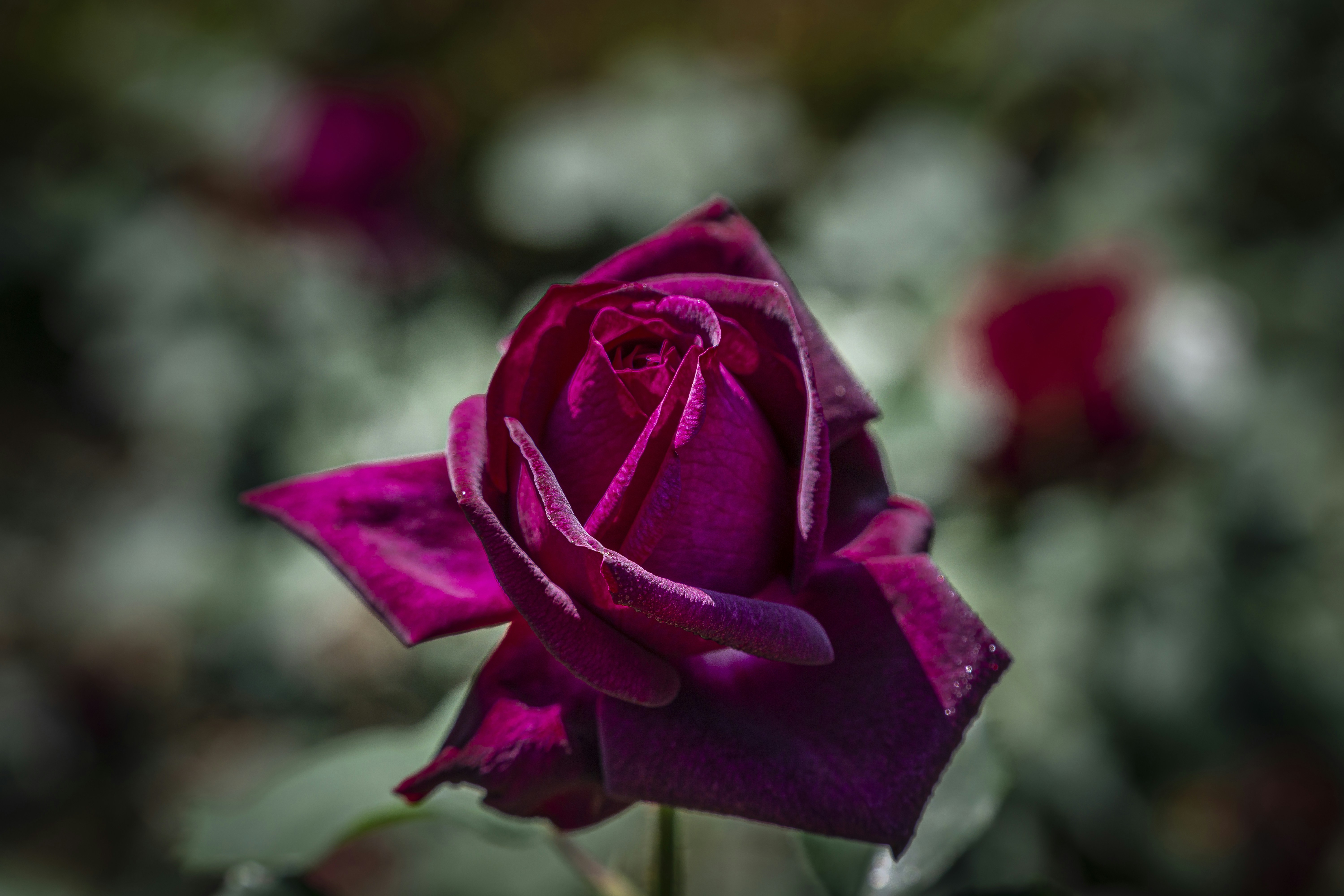 Photo by pendraggon87