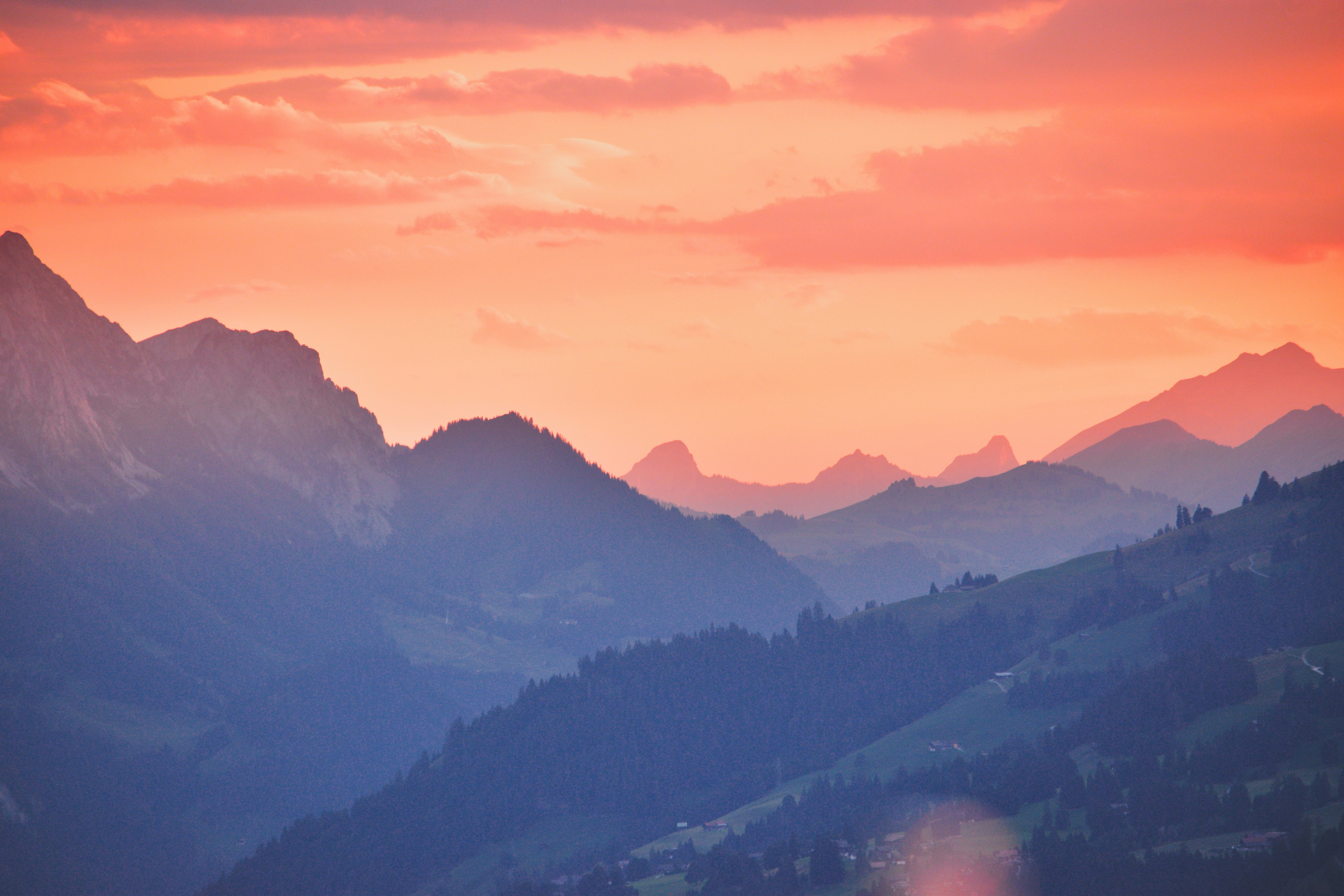 Photo by sven_pieren