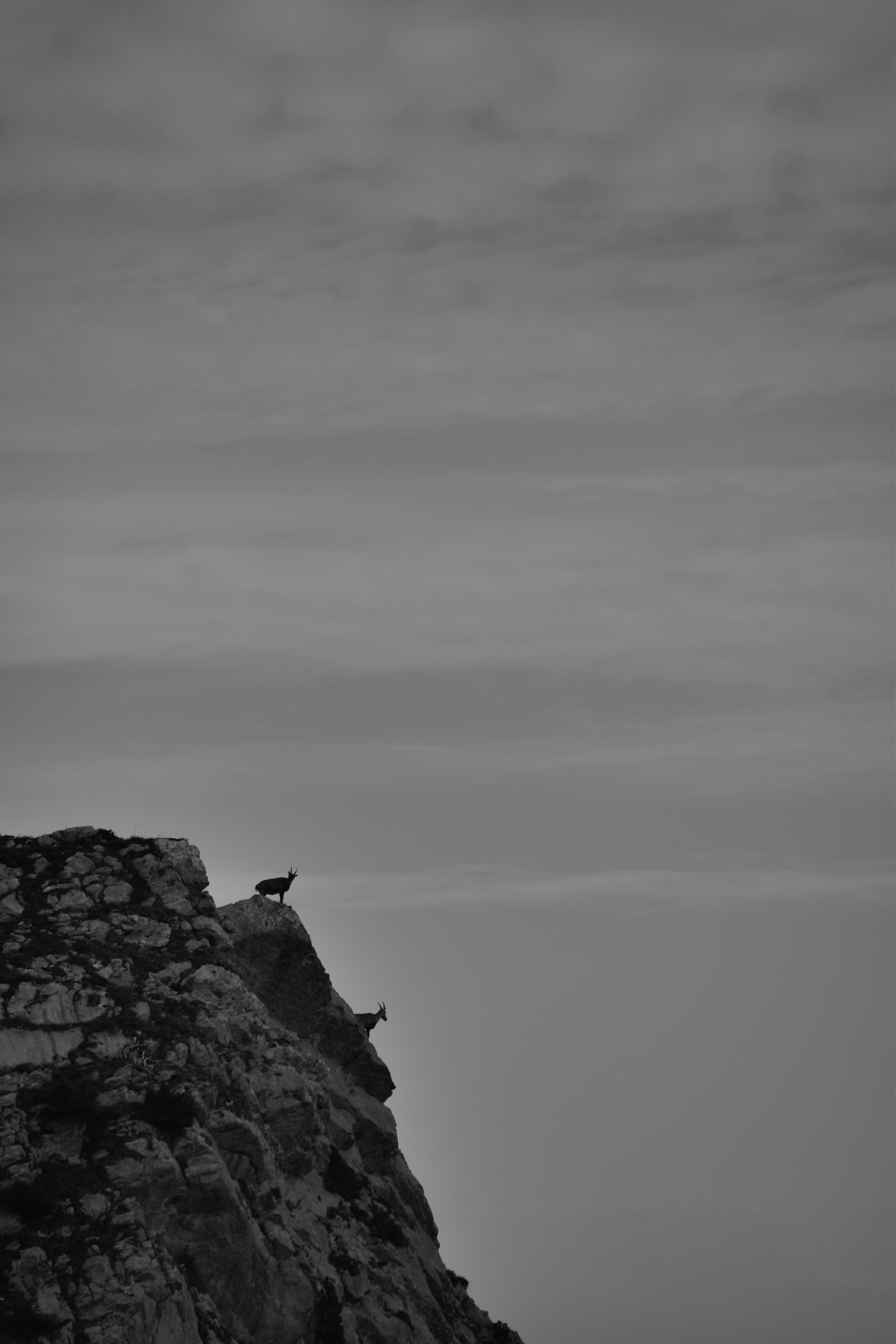 Photo by sven_pieren